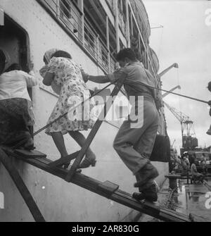 Partenza Plancius con 540 KNIL demobilizzatori e rimpatriati nelle Molucche Priok: Plancius riporta 540 i demobilizzatori e recuperanti indigeni KNIL nelle Molucche. Con arang e anak-anak, zio e zia vanno a bordo. Molti di questi uomini fedeli hanno un lungo servizio e talvolta ritornano nella loro patria per la prima volta dopo 15-21 anni di assenza. Data: 17 Febbraio 1948 Luogo: Batavia, Indonesia, Jakarta, Indie Orientali Olandesi, Tandjong Priok Foto Stock