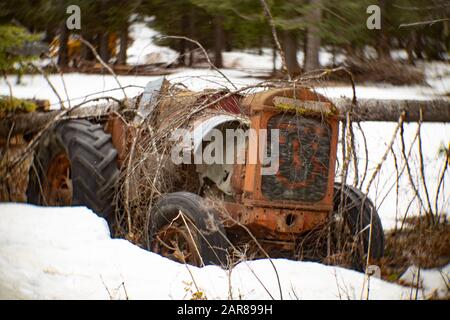 Un vecchio trattore W30 2WD McCormick-Deering rosso 1935 nella neve, in una zona boscosa, in Noxon, Montana. Foto Stock