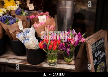 Tulipani, narcisi, giacinto e altri fiori primaverili in vendita presso un fioraio nel quartiere di Beacon Hill di Boston, Massachusetts, Stati Uniti. Foto Stock