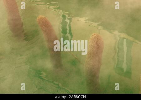 Acqua Terme bagno naturale, antica spa romana Foto Stock