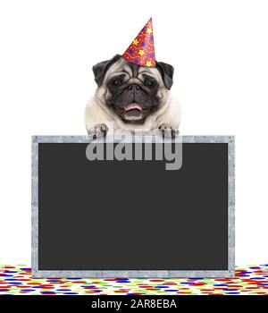 frolic sorridente compleanno partito pug cane con cappello e confetti e zampe sul segno lavagna, isolato su sfondo bianco Foto Stock