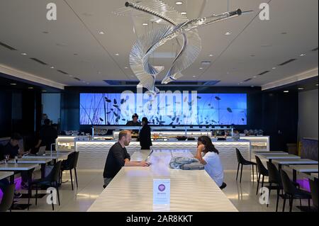 La lounge Star Alliance Gold nel terminal internazionale, l'aeroporto di Auckland NZ Foto Stock