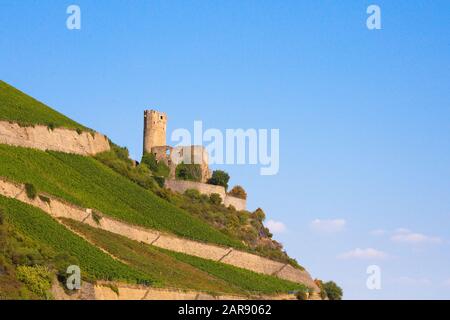 Storico castello Maus, Sankt Goar Germania, visto da lungo il Fiume Reno Foto Stock