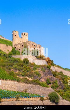 Storico castello Maus, Sankt Goar Germania, visto da lungo il Fiume Reno Foto Stock