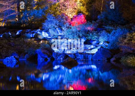 Cascata illuminata e alberi sul bordo dello stagno durante il Evento Gardens of Light nel giardino giapponese di notte autunno Foto Stock