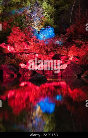 Cascata illuminata e alberi sul bordo dello stagno durante il Evento Gardens of Light nel giardino giapponese di notte autunno Foto Stock