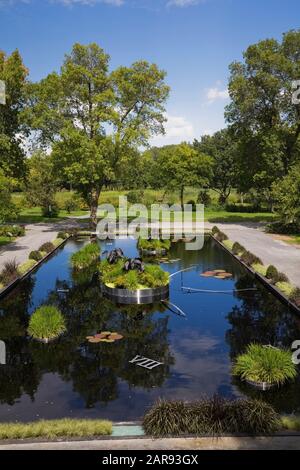 Piscina espositiva con piante acquatiche tra cui Cococasia - Taro, Victoria - Giglio d'acqua gigante e Papiro - Ornamental Grass Foto Stock