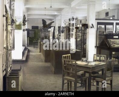 Sede della Nederlandsche Heidemaatschappij presso la Apeldoornseweg di Arnhem. Museo Interno Annotazione: Colorato? Date: Undate Location: Arnhem Parole Chiave: Buildings der nhm, interior, Museums Foto Stock