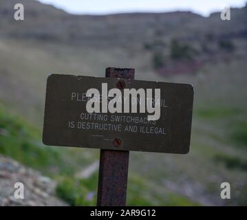 Si Prega Di Rimanere Su Trail Sign Foto Stock