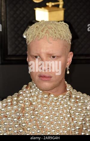 Los Angeles, California. 26th Gen 2020. Shaun Ross agli arrivi per 62nd annuali Grammy Awards - Arrivi 2, STAPLES Center, Los Angeles, CA 26 gennaio 2020. Credito: Priscilla Grant/Everett Collection/Alamy Live News Foto Stock