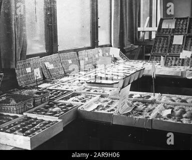 Frutta confezionata Data: Parole Chiave dense: Coltivazione della frutta Foto Stock