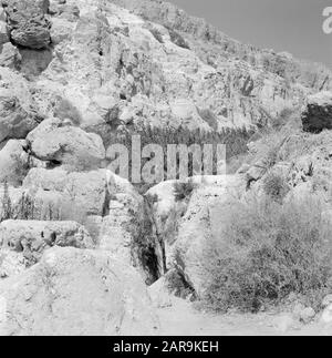 Israele 1964-1965: Ein Gedi Feroce fronte di roccia con il Sudarbron a Ein Gidi. Data: 1964 Luogo: Mar Morto, Ein Gedi, Israele Parole Chiave: Rocce, Cascate Foto Stock