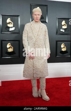 Los Angeles, California 26th Gen 2020. Shaun Ross al 62nd Grammy Awards allo Staples Center di Los Angeles, California, il 26 gennaio 2020. Credito: Tony Forte/Media Punch/Alamy Live News Foto Stock