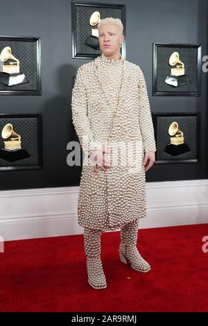 Los Angeles, California 26th Gen 2020. Shaun Ross al 62nd Grammy Awards allo Staples Center di Los Angeles, California, il 26 gennaio 2020. Credito: Tony Forte/Media Punch/Alamy Live News Foto Stock