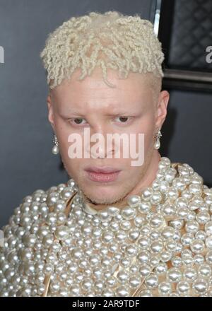 Los Angeles, Stati Uniti. 26th Gen 2020. Los ANGELES, CALIFORNIA, Stati Uniti - 26 GENNAIO: Shaun Ross arriva al 62nd GRAMMY Awards annuale tenutosi presso Staples Center il 26 gennaio 2020 a Los Angeles, California, Stati Uniti. (Foto Di Xavier Collin/Image Press Agency) Credit: Image Press Agency/Alamy Live News Foto Stock