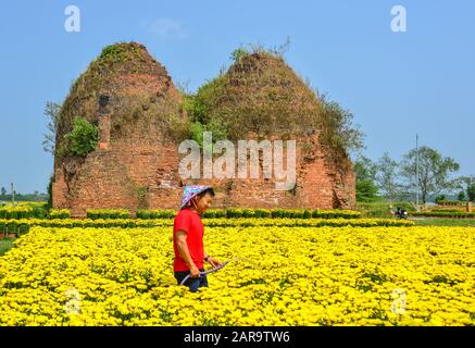 Contadino asiatico che lavora sul campo dei fiori di Marigold alla giornata di sole nel Delta del Mekong, Vietnam. Foto Stock