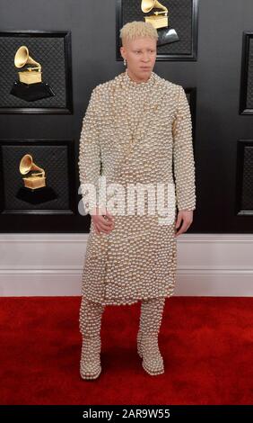 Los Angeles, California, Stati Uniti. 26th gennaio 2020. Shaun Ross arriva per i Grammy Awards annuali della 62nd che si tengono allo Staples Center di Los Angeles domenica 26 gennaio 2020. Foto di Jim Ruymen/UPI Credit: UPI/Alamy Live News Foto Stock