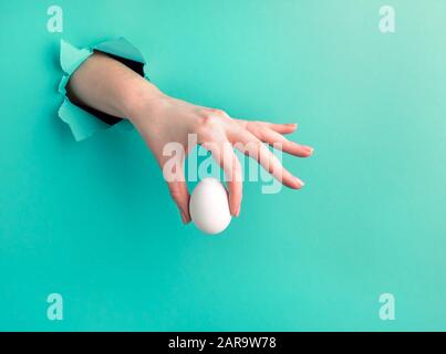 La mano di una donna tiene un uovo bianco attraverso un buco su uno sfondo verde. Foto orizzontale con spazio di copia Foto Stock