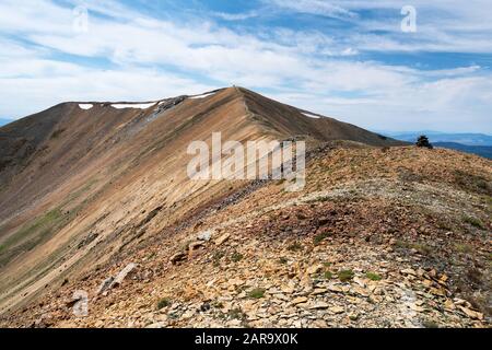 Summit of Parkview Mountain sul Continental Divide Trail in Colorado, Stati Uniti Foto Stock