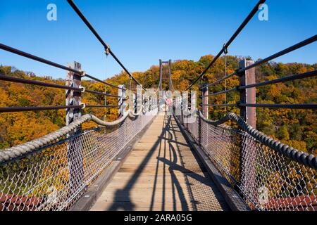 Osaka, Giappone - 8 Dicembre 2019 : Ponte sospeso circondato da ginkgo e alberi di acero a Hoshi no Buranko, Hoshida, Katano durante il fogliame autunnale Foto Stock