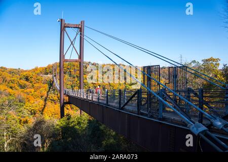 Osaka, Giappone - 8 Dicembre 2019 : Ponte sospeso circondato da ginkgo e alberi di acero a Hoshi no Buranko, Hoshida, Katano durante il fogliame autunnale Foto Stock