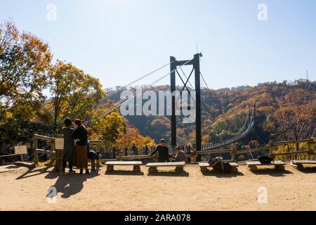 Osaka, Giappone - 8 Dicembre 2019 : Ponte sospeso circondato da ginkgo e alberi di acero a Hoshi no Buranko, Hoshida, Katano durante il fogliame autunnale Foto Stock