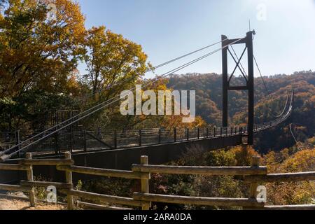 Osaka, Giappone - 8 Dicembre 2019 : Ponte sospeso circondato da alberi di acero a Hoshi no Buranko, Hoshida, Katano, Osaka durante il fogliame autunnale Foto Stock