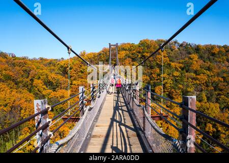 Osaka, Giappone - 8 Dicembre 2019 : Ponte sospeso circondato da ginkgo e alberi di acero a Hoshi no Buranko, Hoshida, Katano durante il fogliame autunnale Foto Stock