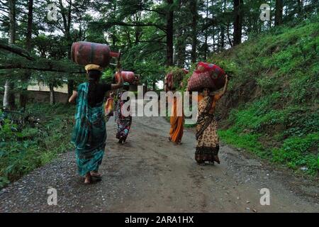 Donna Che Porta Bombole Gpl, Deodars Guest House, Papersali, Almora, Uttarakhand, India, Asia Foto Stock