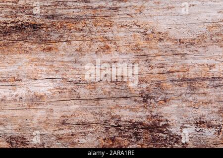 Vecchio grungy legno sfondo naturale legno grana trama. Sfondo di carta da parati in legno con graffi e crepe Foto Stock