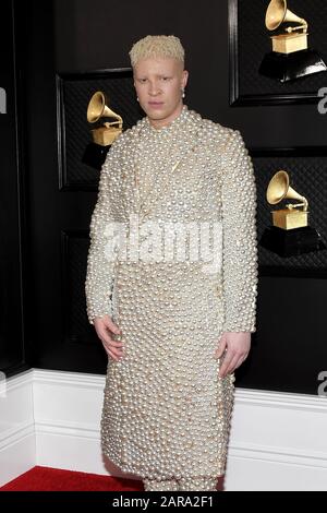 Los Angeles, California, Stati Uniti. 26th gennaio 2020. Shaun Ross arriva alla 62nd annuale Grammy Awards Red carpet tenutasi presso lo Staples Center il 26 gennaio 2020 a Los Angeles, California, Stati Uniti. (Foto di Snanlee B. Mirador/Sipa USA) credito: Sipa USA/Alamy Live News Foto Stock