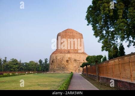 Old Dhamekh stupa al buddismo santo Sarnath nel tardo pomeriggio, sobborgo di Varanasi, Uttar Pradesh, India, Asia meridionale, Asia Foto Stock