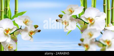 sfondo spa con ocideen e bamboo in blu Foto Stock