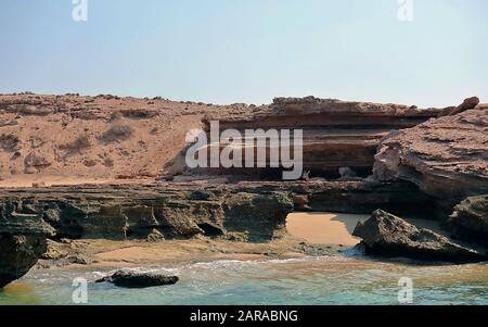 Fauna selvatica sull'isola di Hengam in Iran Foto Stock