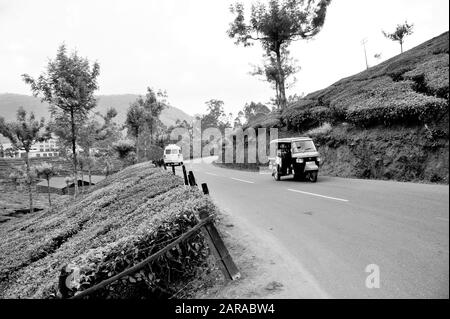 Auto e auto, piantagioni di tè, Munnar, Idukki, Kerala, India, Asia Foto Stock