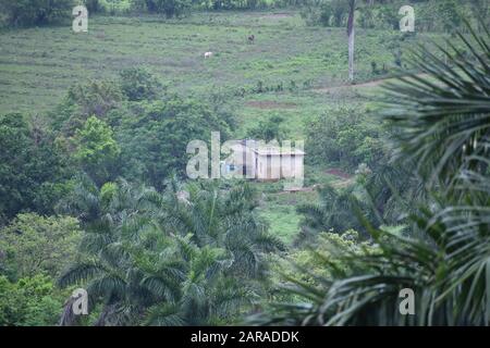 Paesaggio da Hotel de los Jazmines a Vinales Cuba Foto Stock