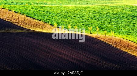 Paesaggio rurale di primavera con colline a strisce colorate. Onde verdi e marroni dei campi agricoli della Moravia meridionale, Repubblica Ceca. Può essere utilizzato come sfondo naturale o texture Foto Stock