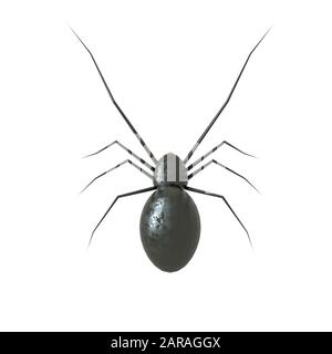 Acciaio nero dei ragni robot su sfondo bianco - illustrazione 3D (animale, Arachnid, Arachnofobia, sfondi, colore nero) Foto Stock