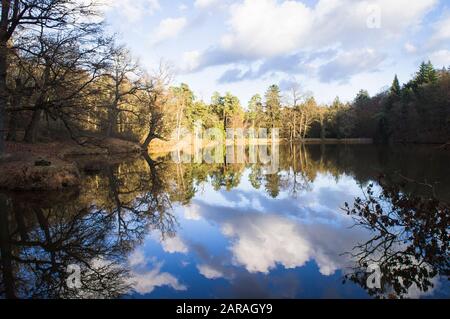 Una vista autunnale sullo stagno di Labeska nel Parco Pruhonice, nella periferia di Praga, l'11 novembre 2019. Il parco insieme alla riserva della città di Praga Foto Stock