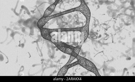 Il modello del DNA umano, disegno, wireframe, monocromatico - illustrazione 3D Foto Stock