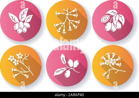 Brasiliano flora piatto design lungo ombra glyph icone set. Frutto del miracolo. Albero IPE. Plumeria e jojoba. Impianto sudamericano. Botanica. Fiore tropicale. Illustrazione Vettoriale