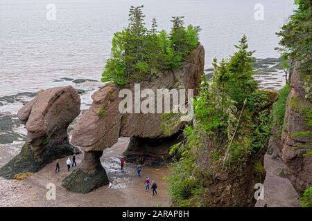 Le rocce Hopewell, comunemente chiamate le rocce Fiorite sono formazioni rocciose causate dall'erosione delle maree nelle rocce Hopewell Ocean Tidal Exploration Sit Foto Stock