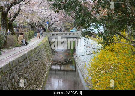 KYOTO, Giappone - 16 Aprile 2012: la gente visita il filosofo a piedi a Kyoto, in Giappone. Vecchia Kyoto è un sito Patrimonio dell'Umanità UNESCO ed è stato visitato da quasi 1 Foto Stock