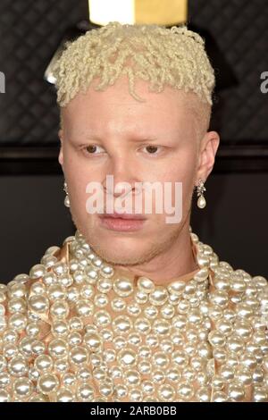 26 gennaio 2020, Los Angeles, CA, USA: Los ANGELES - 26 GENNAIO: Shaun Ross al 62nd Grammy Awards allo Staples Center il 26 gennaio 2020 a Los Angeles, CA (Credit Image: © Kay Blake/ZUMA Wire) Foto Stock