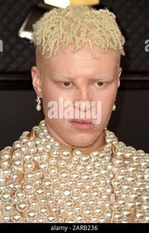 26 gennaio 2020, Los Angeles, CA, USA: Los ANGELES - 26 GENNAIO: Shaun Ross al 62nd Grammy Awards allo Staples Center il 26 gennaio 2020 a Los Angeles, CA (Credit Image: © Kay Blake/ZUMA Wire) Foto Stock