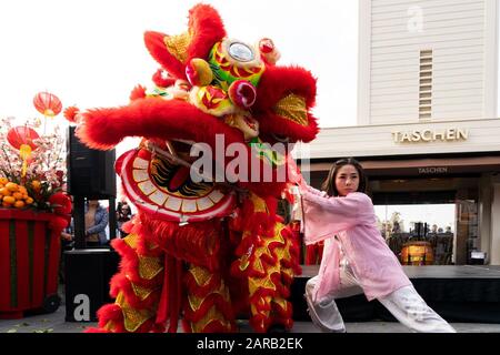 Los Angeles, Stati Uniti. 26th Gen 2020. I ballerini Lion si esibiscono durante le celebrazioni del Capodanno cinese al Farmers Market di Los Angeles, Stati Uniti, 26 gennaio 2020. Credito: Qian Weizhong/Xinhua/Alamy Live News Foto Stock