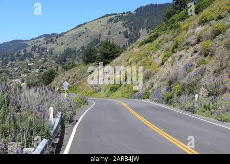 California - stato percorso in Marin County. Pacific Coast Highway. Parte conosciuta come litorale Hwy 1. Foto Stock