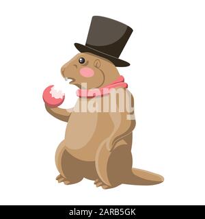 Un Groundhog mangia una mela in un cappello e sciarpa su uno sfondo bianco isolato. Immagine vettoriale. Illustrazione Vettoriale