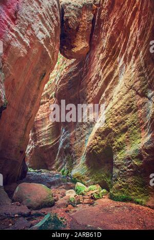 Incredibile paesaggio naturale nel canyon di Avakas a Cipro. Parco nazionale selvaggio con scogliere, montagne, rocce e alberi. Profonda valle naturale alla scoperta per turisti e viaggiatori Foto Stock