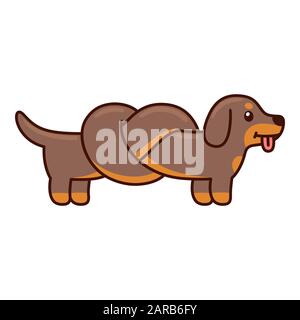 Carino dachshund cartone animato con il corpo legato nel nodo, divertente lungo doodle cane wiener. Illustrazione del vettore isolato. Illustrazione Vettoriale